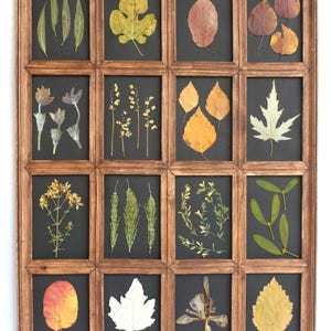 Decorazioni da parete in stile country francese con fiori pressati, grandi quadri con cornice nera raffiguranti foglie di erbe aromatiche, galleria d'arte per la cucina, erbario botanico
