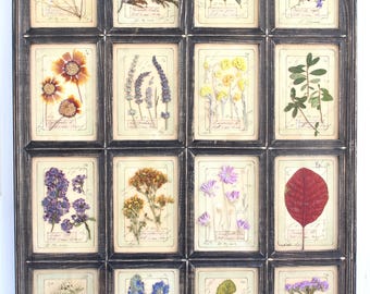 Pressed Botanical Herbarium Farmhouse, Dried Flower Decor Wall Hanging Art Artwork Greenery Black Frame Floral Country Provence Kitchen