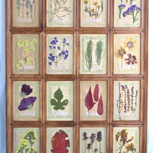 Fiori secchi pressati, fiori vintage da appendere, decorazioni originali con cornice secca, quadri da parete per la casa, cornici marroni retrò, dipinti rustici di erbe aromatiche francesi