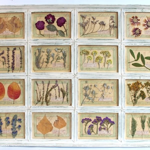 Decorazione da parete vintage con fiori secchi orizzontali di grandi dimensioni, campioni artistici pressati, cornice rustica da cucina in stile fattoria, fiori secchi incorniciati da appendere