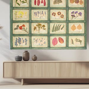 Geperste bloemenkunst: ingelijst herbarium, vintage boerderijdecor, groot landexemplaar fotokunstwerk, echt cottage noodlijdend Frans kruid