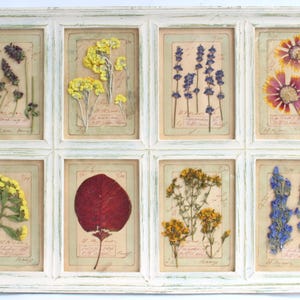 Set di cornici in stile fattoria con fiori secchi, quadro con cornice per la casa con piante botaniche pressate, arazzi floreali originali, erbario rustico bianco