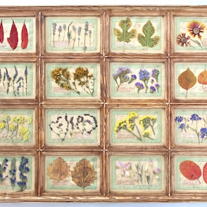 Decorazione da parete con fiori vintage e cornice per cucina, set di foglie di piante di erbe essiccate, decorazioni floreali francesi, cornice originale per erbario con piante da fattoria