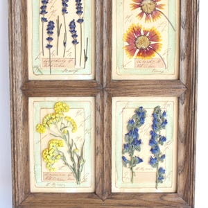 Arte con fiori pressati, decorazioni floreali da parete, set di cornici vintage essiccate, decorazioni originali in stile country francese, erbario botanico, cornice per foto di piante