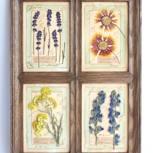 Quadro con fiori pressati, decorazione da parete in legno stile fattoria, erbario botanico con fogliame incorniciato, erbe medicinali essiccate, fiori francesi da appendere alla casa