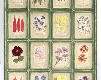Large Green Rustic Framed Botanical Art, Multi Window Pressed Flower Specimen, Herbs Dried Foliage, Cottage Wall Decor Hanging, 16 Grid