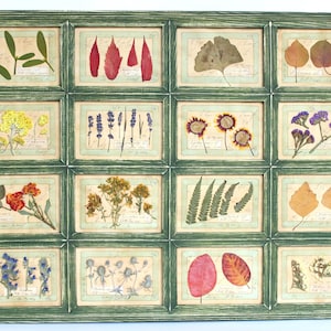 Decorazioni da parete in stile fattoria, cornice di fiori pressati, arte con fiori secchi, quadri vintage di animali selvatici da cucina, erbario botanico con piante ed erbe rustiche incorniciate