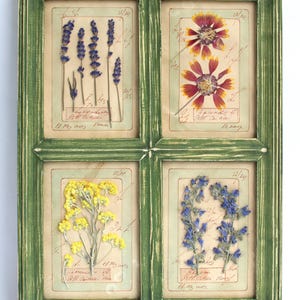 Cornice in stile fattoria con fiori secchi, decorazione da parete per cucina, erbario vintage, piante di erbe pressate, decorazioni da appendere alla parete in stile francese, quadro botanico secco