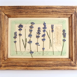 Cornice da parete vintage con lavanda secca, regalo artistico, cornice con fiori pressati, arredamento in stile country francese, cucina in stile fattoria, vecchio erbario conservato