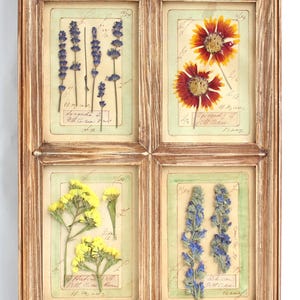 Arte primitiva originale, opera d'arte francese da cucina, decorazione da parete in stile fattoria, fiori vintage pressati, immagini di fiori secchi botanici