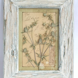 Decorazioni da parete in stile fattoria: cornice floreale fatta a mano con fiori secchi, piccolo erbario vintage con erbe selvatiche essiccate, quadri per cucina in stile francese