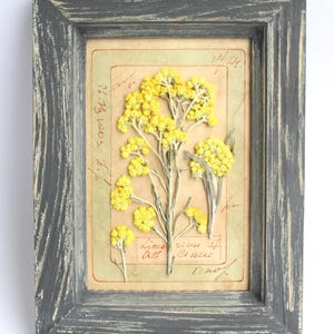 Cornice di fiori secchi, decorazione artistica con erbe aromatiche pressate, opera d'arte vintage blu in stile fattoria, fiori di campo incorniciati, decorazione floreale da parete in stile francese, regalo fai da te