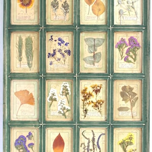 Arte murale in stile cottage di campagna, cornice per fiori pressati, erbe aromatiche essiccate incorniciate, quadri per la cucina, erbario vintage, regalo botanico per la sorella