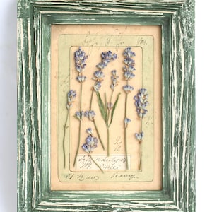Lavanda incorniciata, fiori pressati, fiori secchi retrò, decorazioni da parete floreali secche, erbe aromatiche francesi d'epoca, quadro di campagna, regalo fai da te