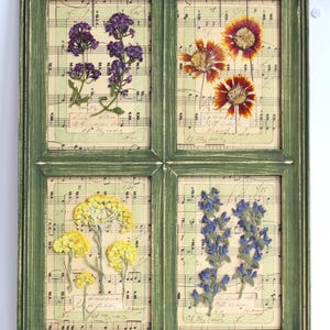 Fiori secchi, decorazioni per la cucina francese, erbe botaniche vintage, erbario pressato, arte incorniciata da parete, galleria di fiori selvatici, piante essiccate, set da appendere