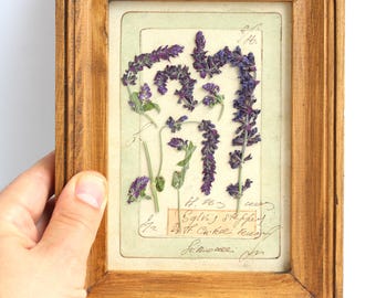 Pressed Flower Art, Real Plant Framed Wall Decor, Flowers Botanicals Garden Display, Vintage French Frame Collage, Small Country Picture Set