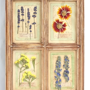 Decorazione da parete alta con fiori pressati, arte rustica con fiori secchi, decorazione da parete per cucina in stile fattoria, piante botaniche secche, fiori selvatici in casa