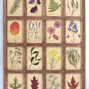 Decorazione da parete rustica per la casa, cornice floreale da fattoria, fiori pressati appesi, set di erbari vintage con cornice artistica botanica, foglie di erbe essiccate