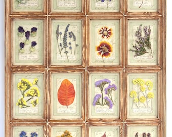 Framed Dried Flower, French Country Rustic Wood Botanical Art, Farmhouse Dry Wall Decor, Large Herb Original Herbarium Set, Herbal Farmhouse