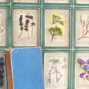 Decorazione da parete per cucina con fiori secchi incorniciati, fiori pressati per la casa, arte botanica, cottage floreale francese da appendere, pianta erbacea per erbario