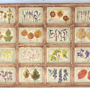 Framed Dried Flowers, Pressed Flower Frame, Horizontal Wall Decor, Dry Herbs Herbarium, Farmhouse Vintage, Botanical Kitchen Art Set Herbier