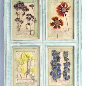 Fiori pressati incorniciati, regalo fai da te, arte con fiori secchi, decorazione da parete floreale vintage con erbario, decorazioni botaniche rustiche, decorazioni con immagini di fiori di campo ed erbe aromatiche
