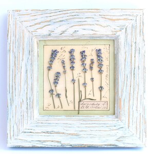 Cornice bianca con lavanda in stile fattoria, decorazione rustica in stile cottage francese, fiori secchi incorniciati, arte murale con erbe aromatiche vintage, erbario di campagna, conservato a secco
