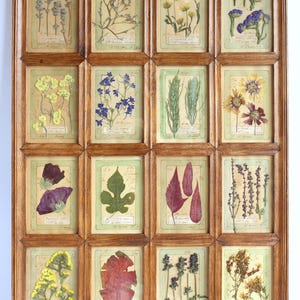 Decorazione da parete con fiori pressati e cornice, fiori appesi, arte vintage essiccata, fattoria dell'erbario, quadro da cucina con fiori di campagna francese