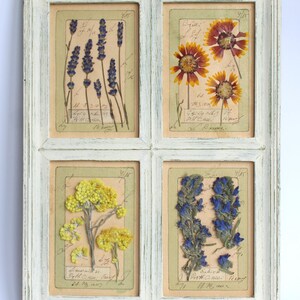 Arte murale con fiori pressati, erbario botanico di erbe incorniciato, cornice di fiori secchi per cucina e sala da pranzo, foglia di opera d'arte floreale, pianta selvatica francese