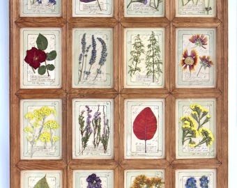 Framed Dried Flowers, Pressed Flower Art Large Vintage Frame, Botanical Wall Hanging Floral Decor Dried Plants Picture Leaf Set Preserved