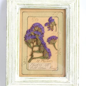 Piccolo Quadro Rustico Fiori Secchi Decorazione e Statice Parete Francese con Arte Pressata Erbario Fattoria Stile