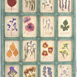 Arte con fiori pressati, fiori pressati, regalo di anniversario, fiori pressati secchi, cornice per fiori pressati, fiori secchi incorniciati, erbario vintage