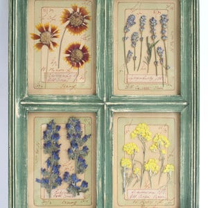 Cornice verde rustica, fiori pressati incorniciati, decorazione da parete per la casa, erbario botanico secco, arte con fiori secchi, decorazione per la cucina, erbario vintage