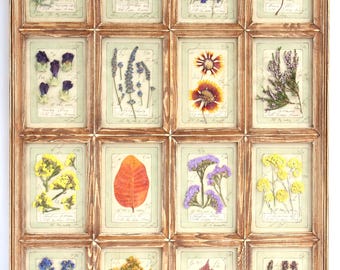 Pressed Flowers Framed, Large Botanical Wall Art Hanging Wood Grid Frame, French Country Herbarium Dried Specimen Vintage Floral Decor Set