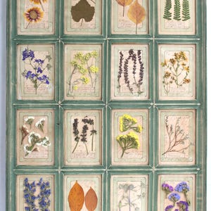 Arte con fiori secchi, decorazione da parete in stile fattoria, fiori pressati, cornice rustica verde, vero Herbier vintage, stanza sospesa incorniciata, fiori per la casa di campagna