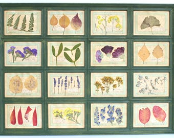 Handmade Herbal Wall Art, Pressed Flower Decor, Vintage Green Herbarium Frame, Large Cottage Rustic Picture, Framed Leaves and Plants Set