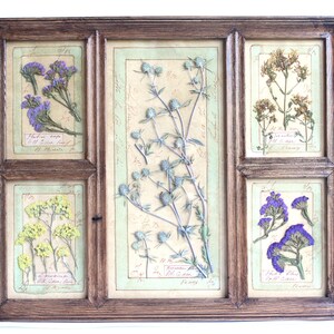 Fiori secchi in cornice, arte murale con piante di erbe aromatiche pressate e incorniciate, sala da pranzo in stile fattoria moderna, set di mobili in legno marrone per cottage di campagna francese d'epoca