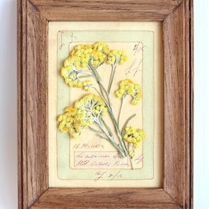Erbario artistico con fiori pressati, decorazioni da parete in stile fattoria, fiori secchi incorniciati, decorazioni floreali francesi selvatiche da appendere in stile vintage, regalo botanico per la cucina