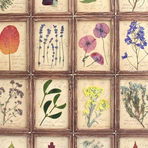 Decorazioni per la casa con fiori pressati, piante essiccate incorniciate, decorazioni rustiche da parete in stile fattoria, erbario botanico, erbe vintage per la camera da letto, disposizione con cornice