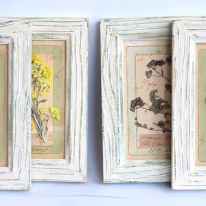 Set di 4 cornici bianche con fiori pressati, erbe essiccate incorniciate, piccola arte botanica da parete, erbario rustico, fiori vintage da appendere