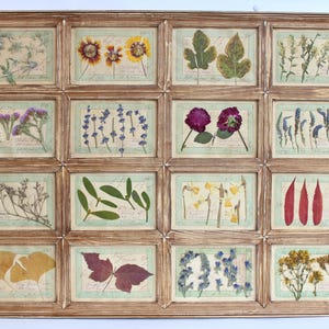 Fiori secchi pressati Opera d'arte incorniciata, cornice rustica Erbario Decorazione da parete Camera da letto, Fiori secchi Immagine floreale da appendere Piante Erbe Vintage