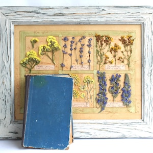 Arte con fiori pressati, decorazioni murali in stile fattoria, erbe essiccate incorniciate, cornici rustiche francesi da appendere, erbario di esemplari di piante di cottage di campagna bianca
