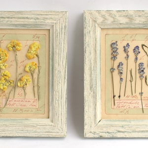 Decorazione da parete con lavanda essiccata, set di fiori vintage, fiori pressati secchi, cornice bianca per cucina, esemplare di stile rustico francese, regalo botanico