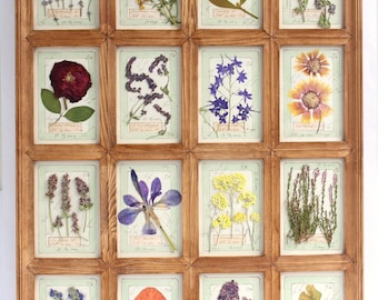 May include: A rectangular wooden frame with sixteen individual compartments, each containing a pressed botanical specimen on a light green card with handwritten labels. The collection features various dried flowers, leaves, and herbs arranged in a grid.