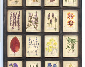 Rustic Black Frame Pressed Flower Wall Art, Large Vintage Herbarium Hanging, Antique Botanical Dried Flowers Decor Set For Farmhouse