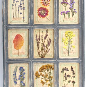 Pressed Botanical Art, Herbarium Farmhouse, Dried Flower Decor, Blue Frame Floral, Dry Wall Hanging, Picture Flowers Herb, Home Wild Plants