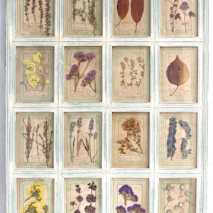 Cornice rustica con fiori secchi, arte pressata incorniciata, erbario bianco secco, decorazione da parete in stile fattoria, elementi botanici vintage, grandi quadri in stile francese