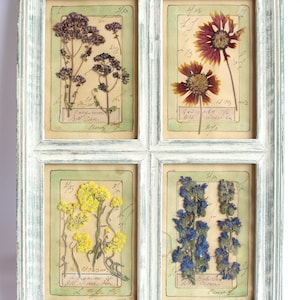 Arte con fiori pressati, decorazioni con fiori secchi, casa con cornice vintage, stile fattoria francese, arazzi da parete per sala da pranzo, erbario rustico e selvatico