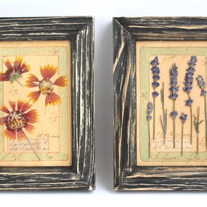 Op de afbeelding: Twee ingelijste kunstwerken met geperste bloemen. Eén lijst toont oranje en rode bloemen, de andere paarse lavendel. Beide hebben een zwart houten frame en een vintage papieren achtergrond.
