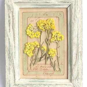 Pressed Dried Flower Art, Floral Frame Wall Hanging Painting, Vintage Herbarium, Framed French Country Wildflowers, Farmhouse Cottage Decor